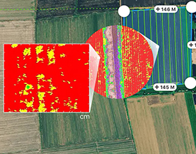 image precision drone agricole detection maladies